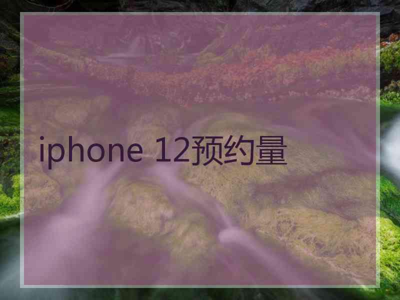 iphone 12预约量