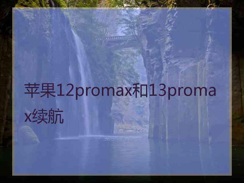 苹果12promax和13promax续航