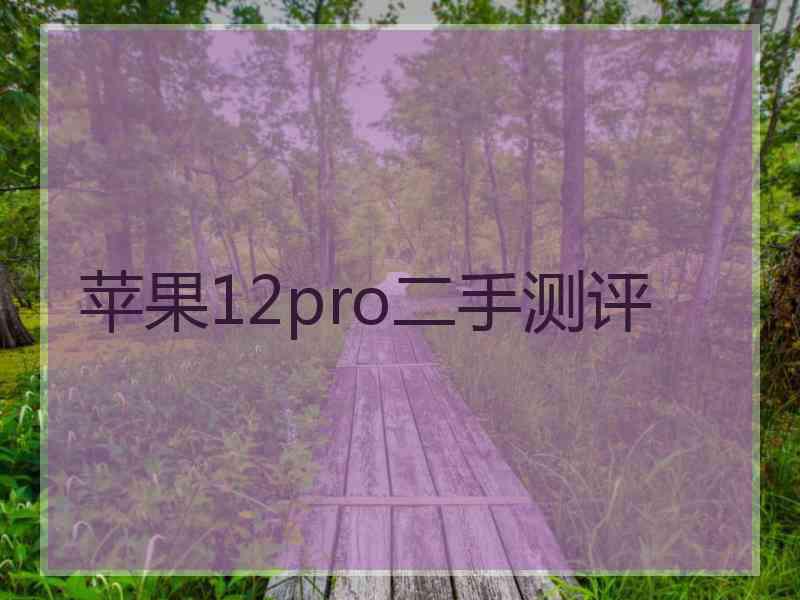 苹果12pro二手测评