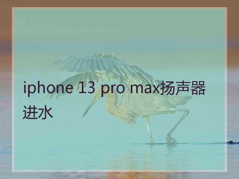 iphone 13 pro max扬声器进水