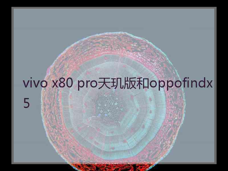 vivo x80 pro天玑版和oppofindx5