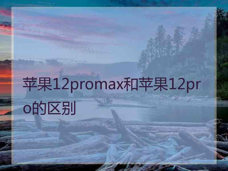 苹果12promax和苹果12pro的区别