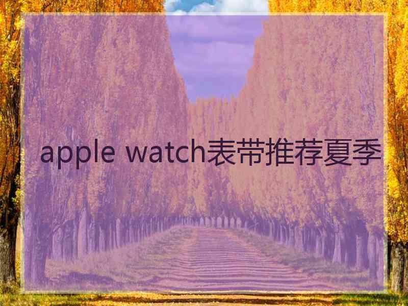 apple watch表带推荐夏季