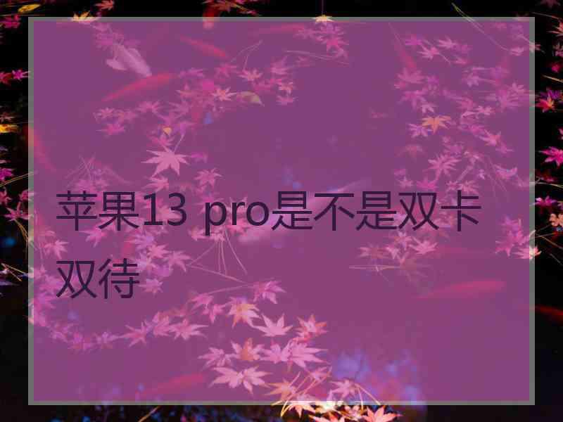 苹果13 pro是不是双卡双待