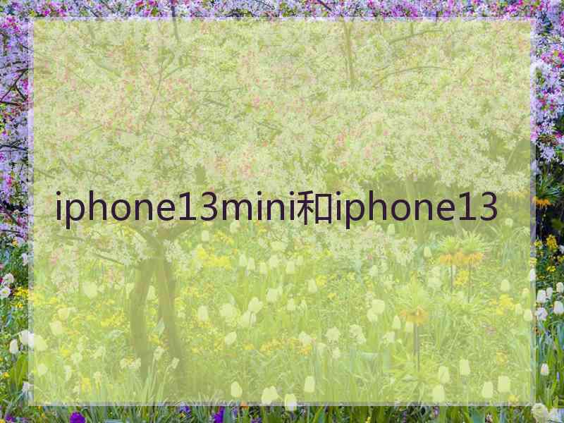 iphone13mini和iphone13