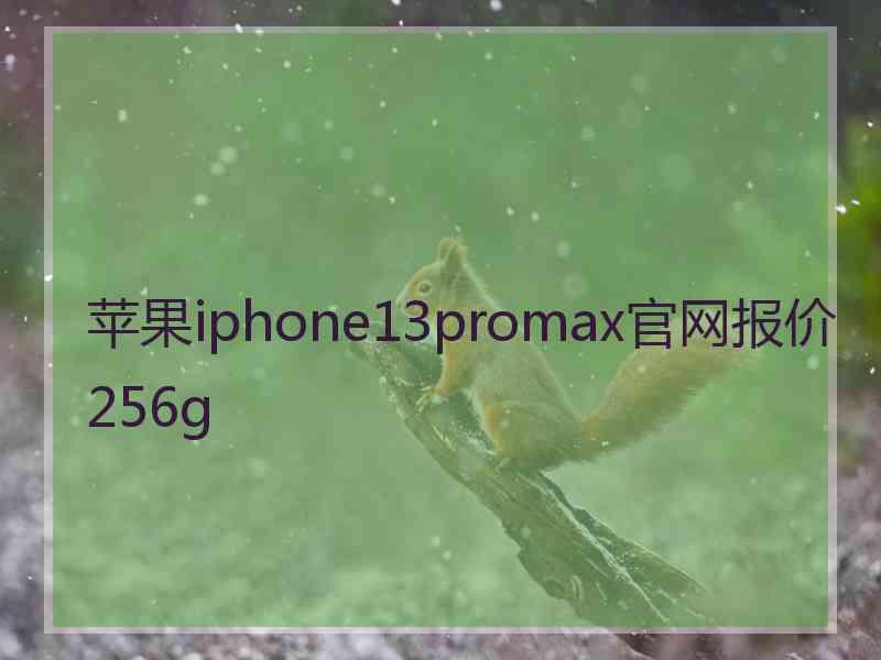 苹果iphone13promax官网报价256g