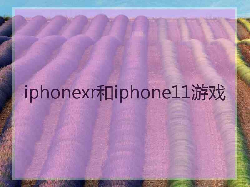 iphonexr和iphone11游戏