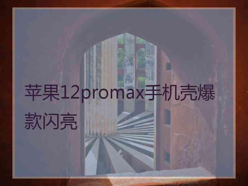 苹果12promax手机壳爆款闪亮