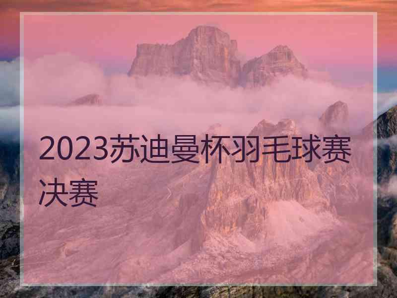 2023苏迪曼杯羽毛球赛决赛