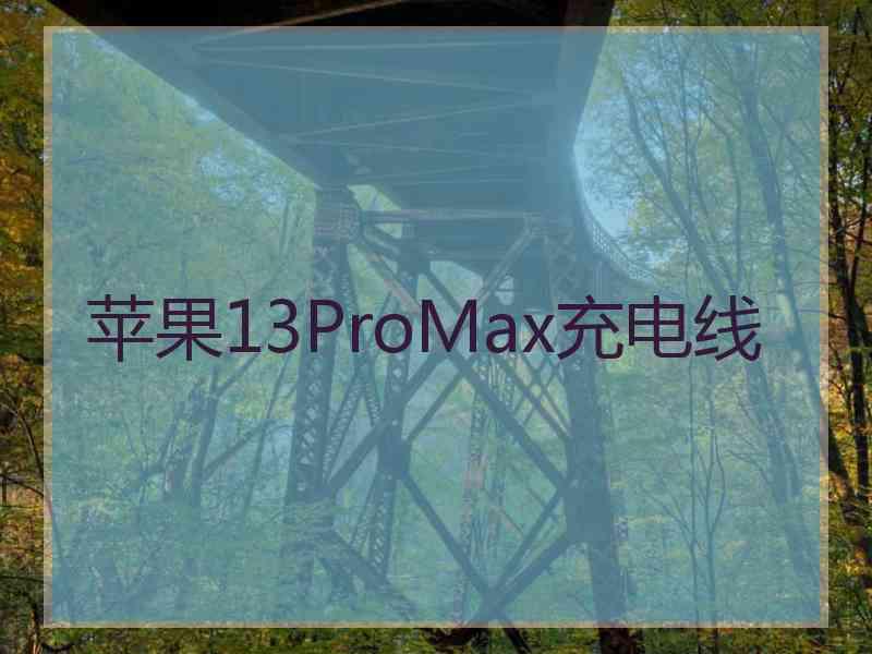 苹果13ProMax充电线