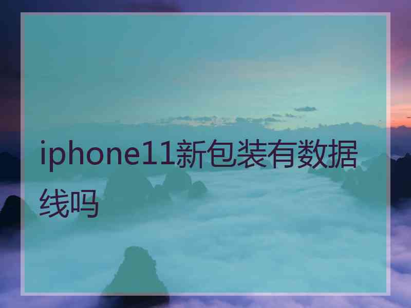 iphone11新包装有数据线吗