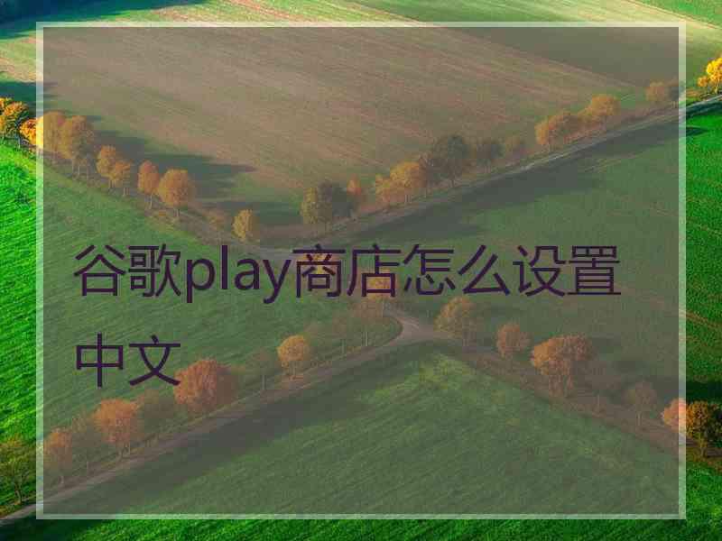 谷歌play商店怎么设置中文