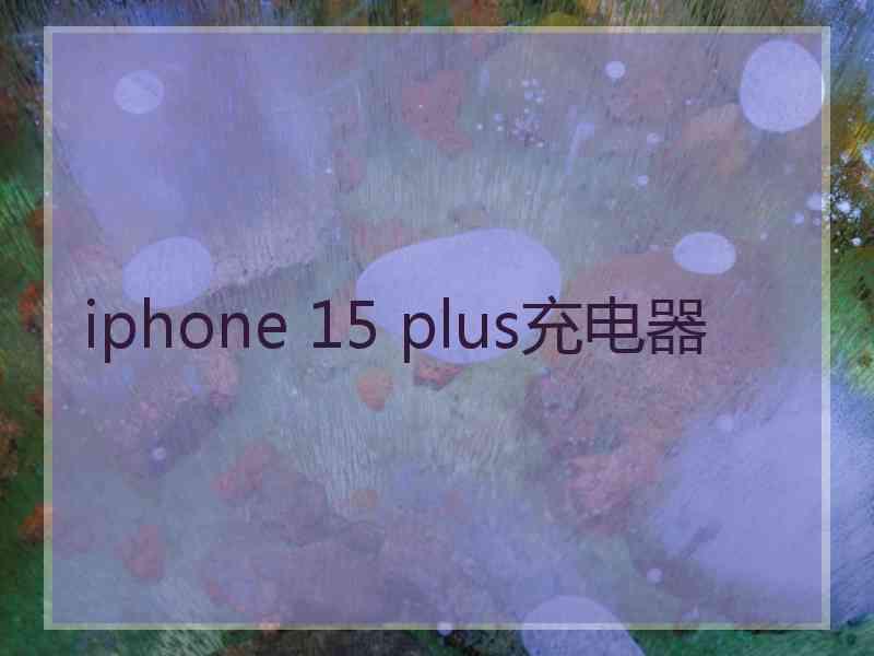 iphone 15 plus充电器