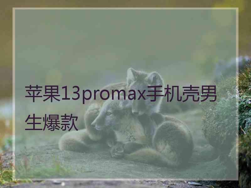 苹果13promax手机壳男生爆款