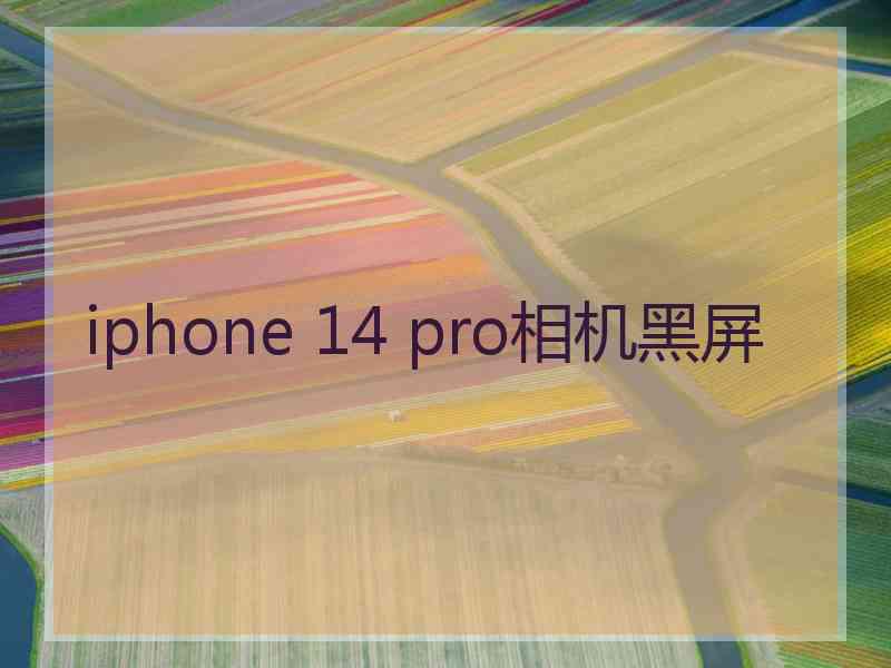 iphone 14 pro相机黑屏