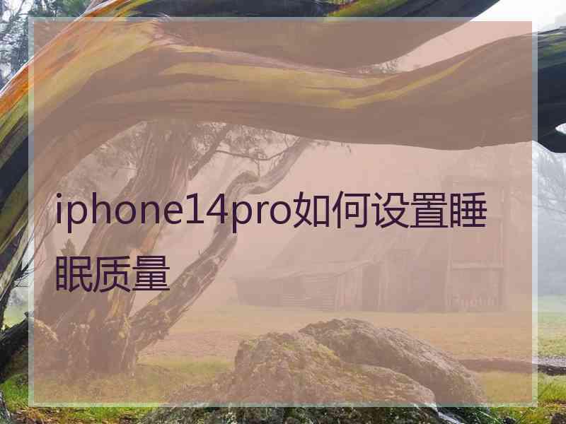 iphone14pro如何设置睡眠质量