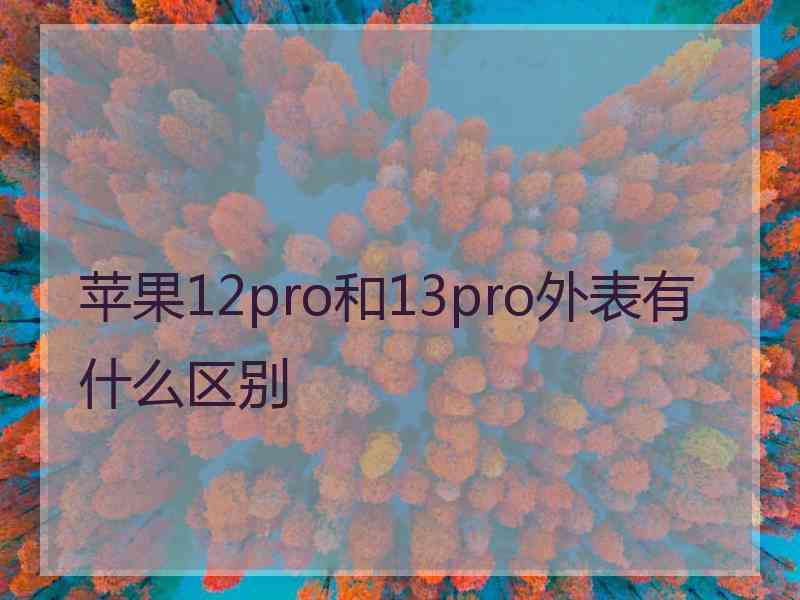 苹果12pro和13pro外表有什么区别