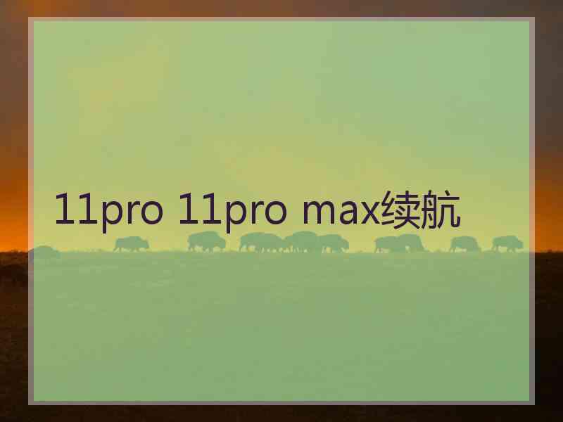 11pro 11pro max续航