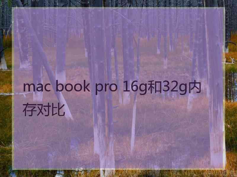 mac book pro 16g和32g内存对比