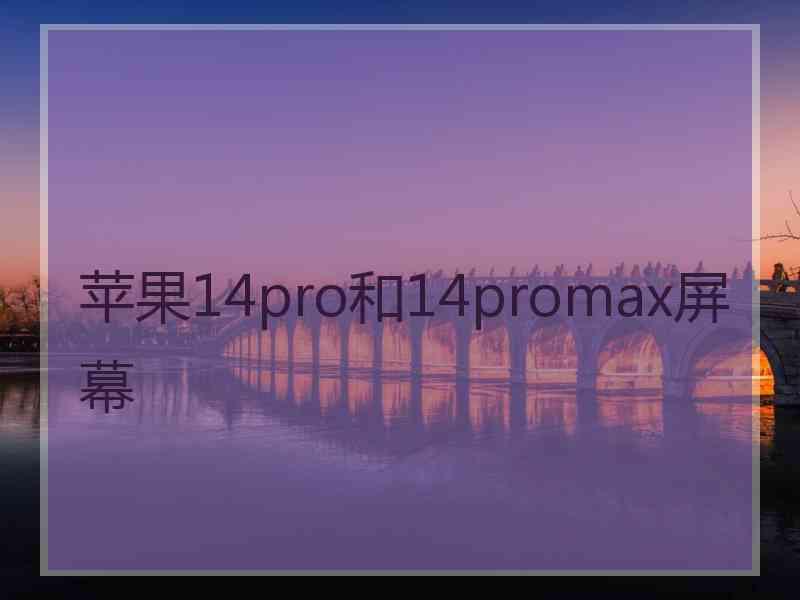 苹果14pro和14promax屏幕