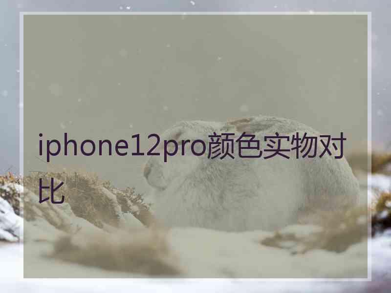 iphone12pro颜色实物对比