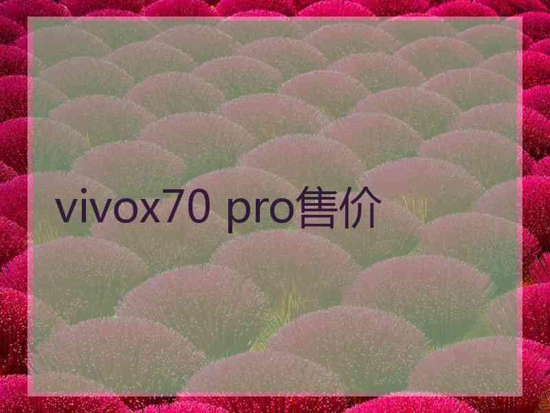 vivox70 pro售价