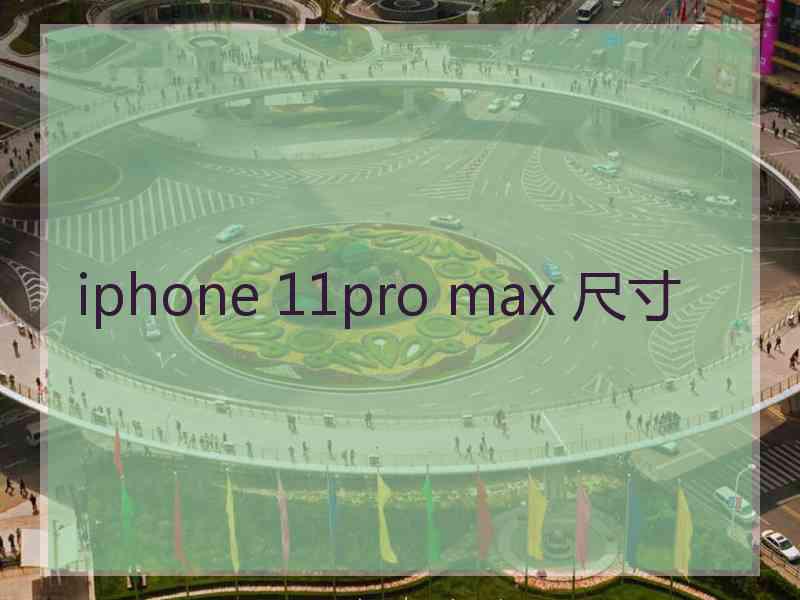 iphone 11pro max 尺寸