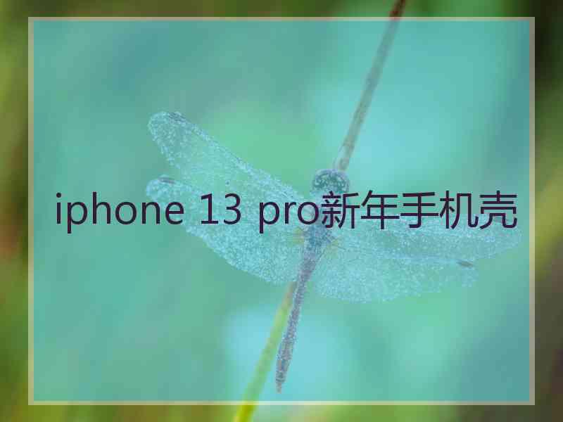 iphone 13 pro新年手机壳