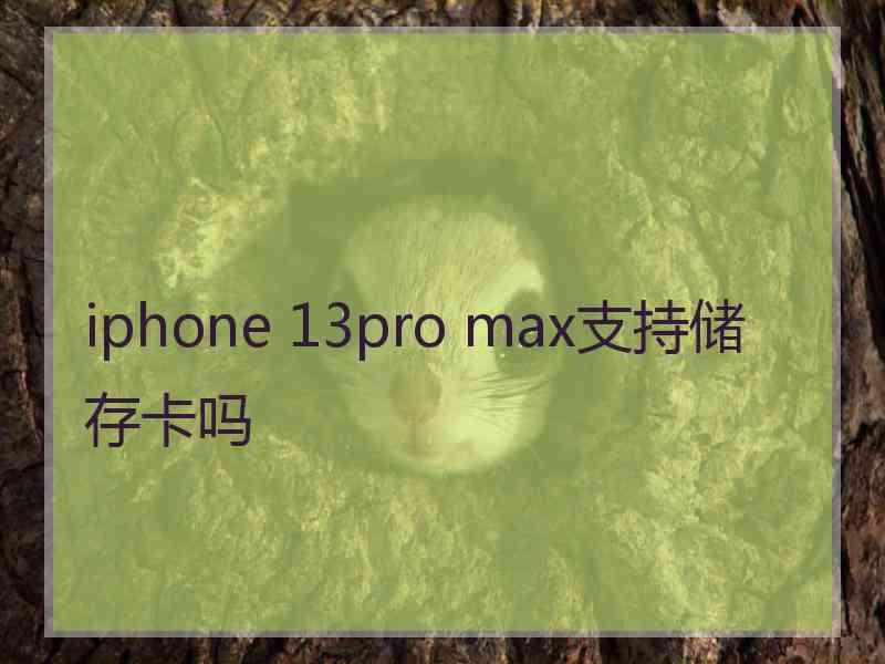 iphone 13pro max支持储存卡吗