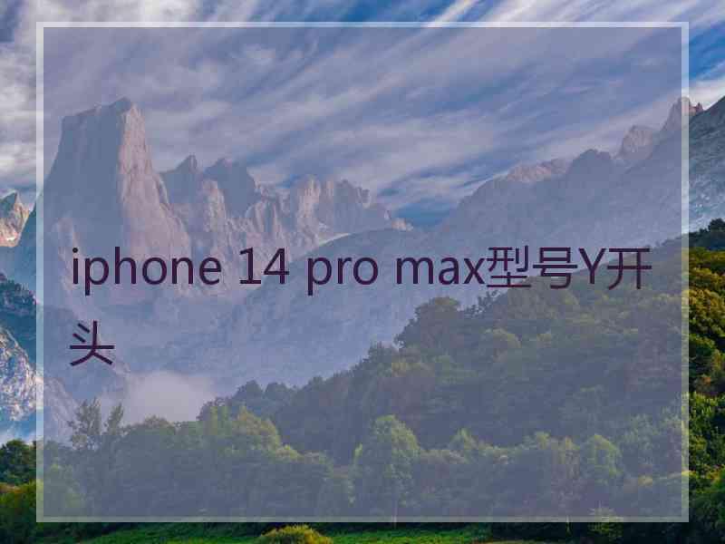 iphone 14 pro max型号Y开头