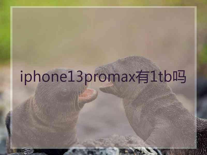 iphone13promax有1tb吗