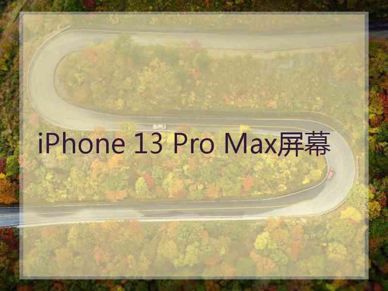 iPhone 13 Pro Max屏幕