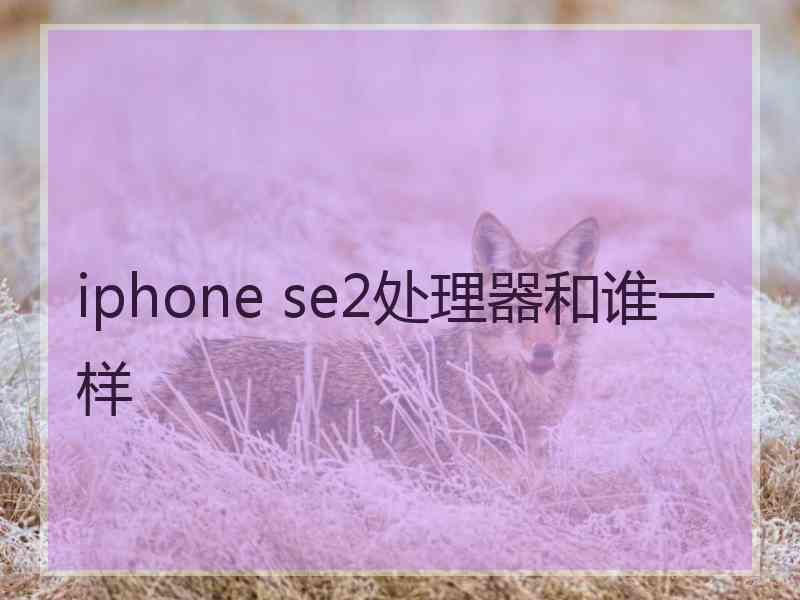 iphone se2处理器和谁一样