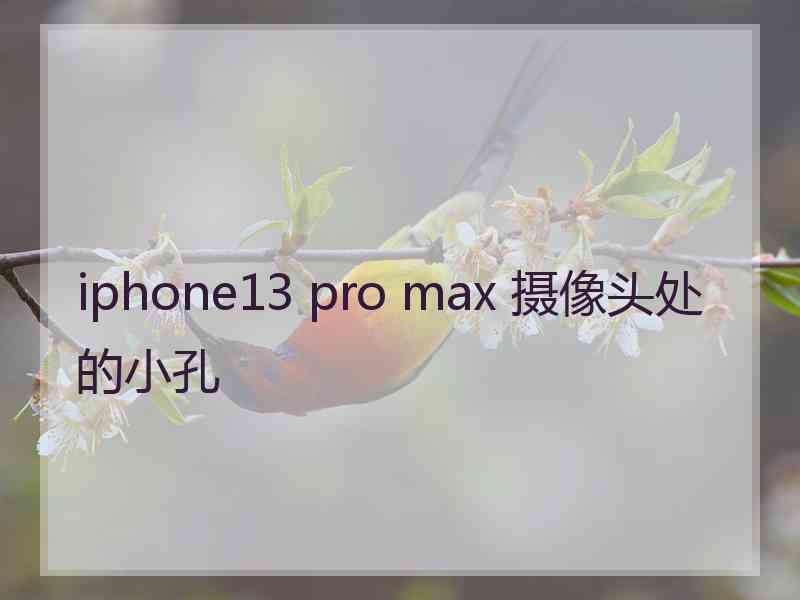 iphone13 pro max 摄像头处的小孔