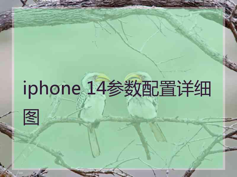 iphone 14参数配置详细图