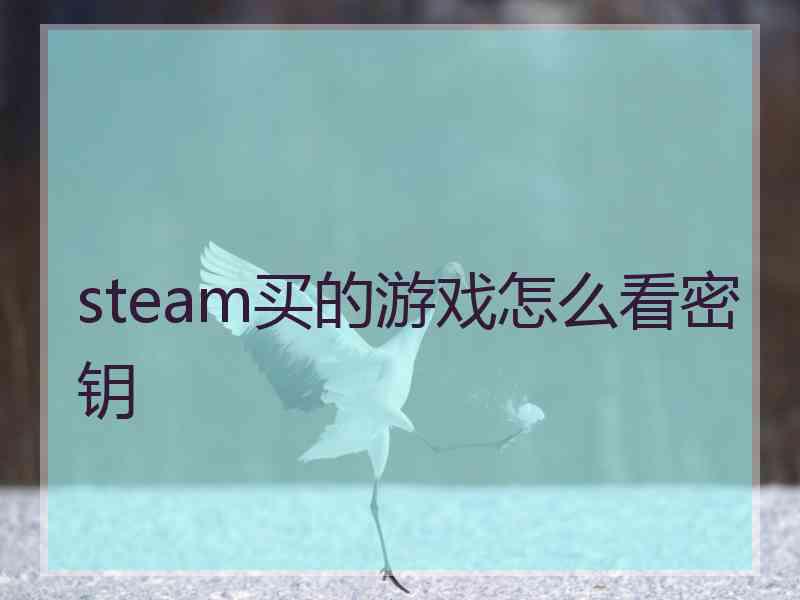 steam买的游戏怎么看密钥