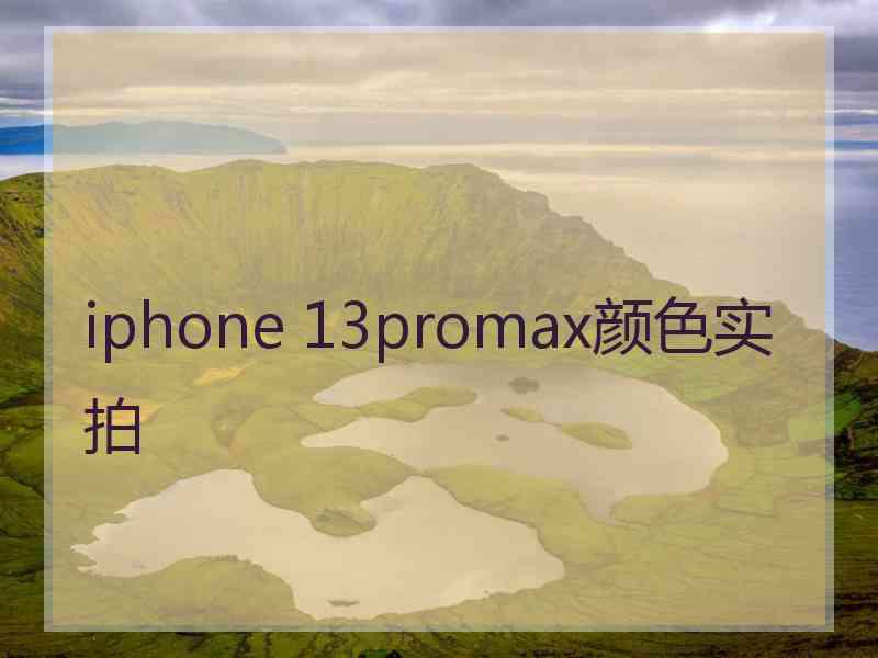 iphone 13promax颜色实拍