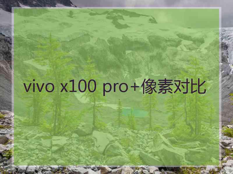 vivo x100 pro+像素对比