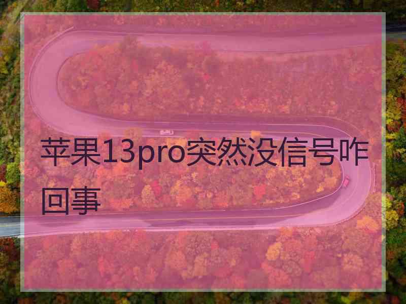 苹果13pro突然没信号咋回事