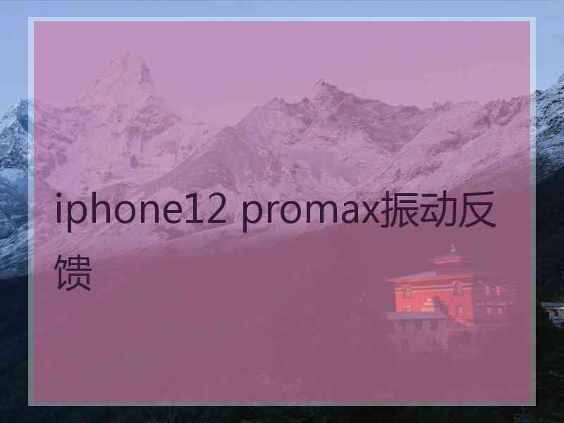 iphone12 promax振动反馈