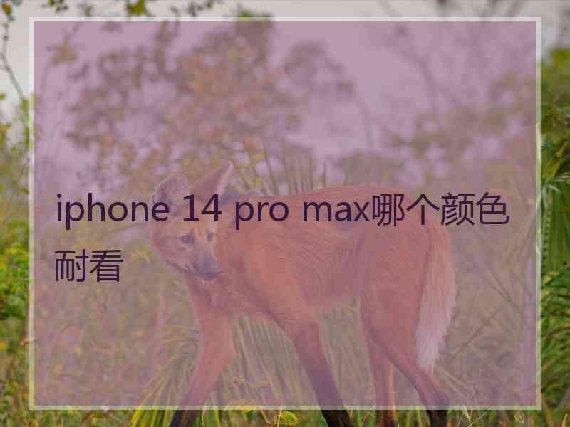 iphone 14 pro max哪个颜色耐看