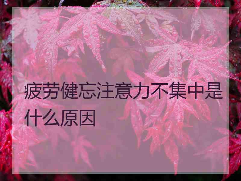 疲劳健忘注意力不集中是什么原因