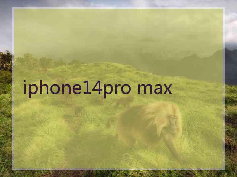 iphone14pro max