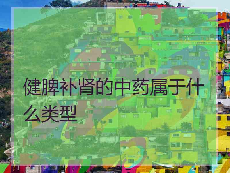 健脾补肾的中药属于什么类型