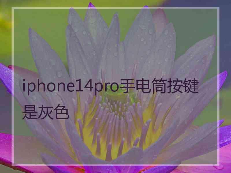 iphone14pro手电筒按键是灰色