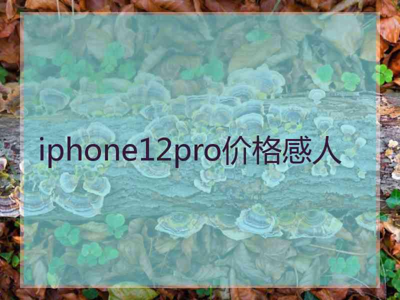 iphone12pro价格感人