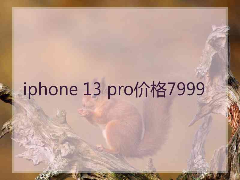 iphone 13 pro价格7999