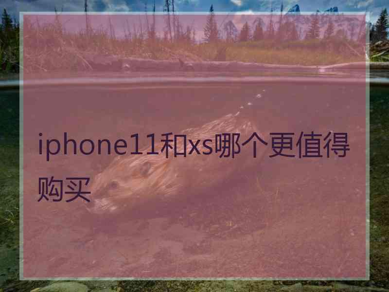 iphone11和xs哪个更值得购买