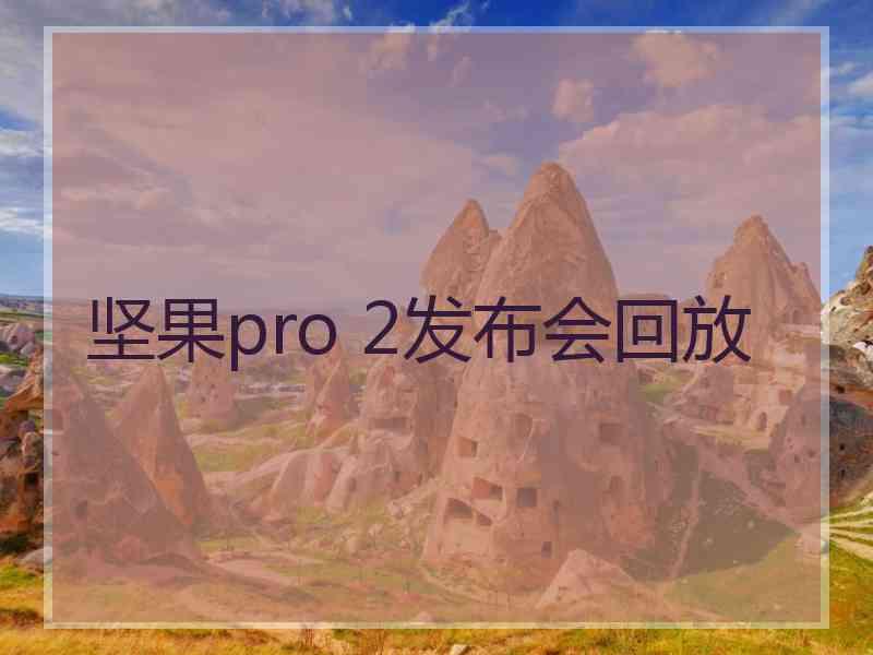 坚果pro 2发布会回放