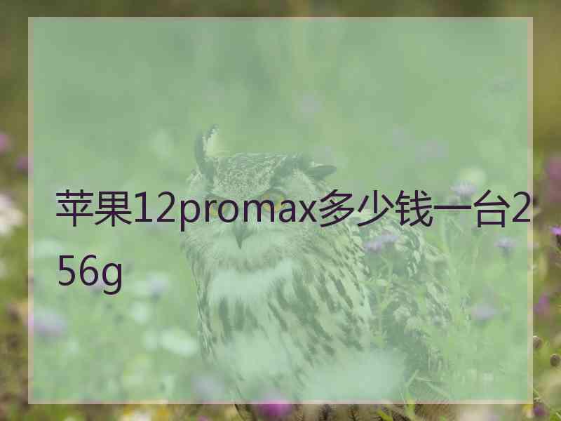 苹果12promax多少钱一台256g